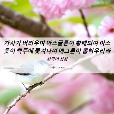 Picture 06 - 스바냐 2:4 KOR - 가사가 버리우며 아스글론이 - Bible Verse Picture