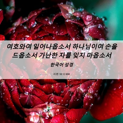Picture 06 - 시편 10:12 KOR - 여호와여 일어나옵소서 하나님이여 - Bible Verse Picture