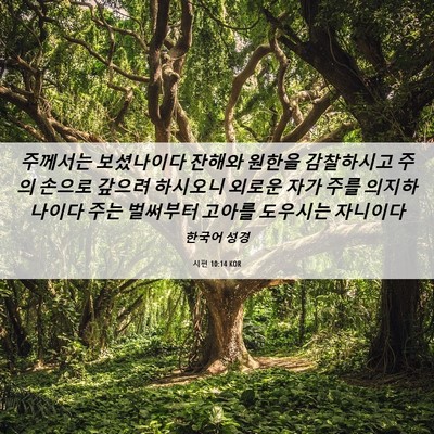 Picture 06 - 시편 10:14 KOR - 주께서는 보셨나이다 잔해와 원한을 - Bible Verse Picture