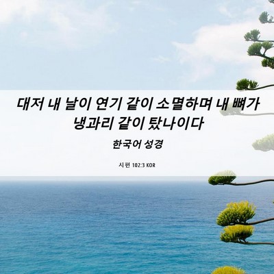 Picture 06 - 시편 102:3 KOR - 대저 내 날이 연기 같이 소멸하며 내 - Bible Verse Picture