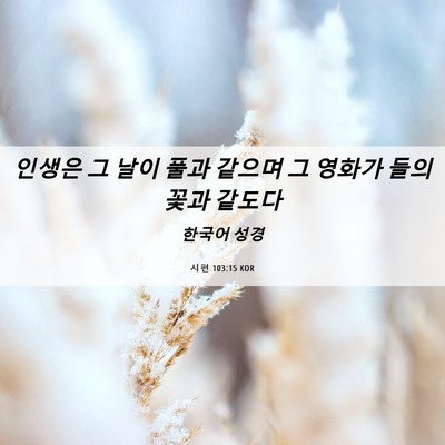 Picture 06 - 시편 103:15 KOR - 인생은 그 날이 풀과 같으며 그 - Bible Verse Picture