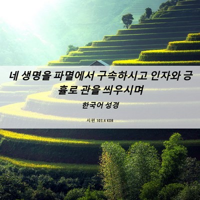 Picture 06 - 시편 103:4 KOR - 네 생명을 파멸에서 구속하시고 - Bible Verse Picture