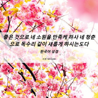 Picture 06 - 시편 103:5 KOR - 좋은 것으로 네 소원을 만족케 하사 - Bible Verse Picture