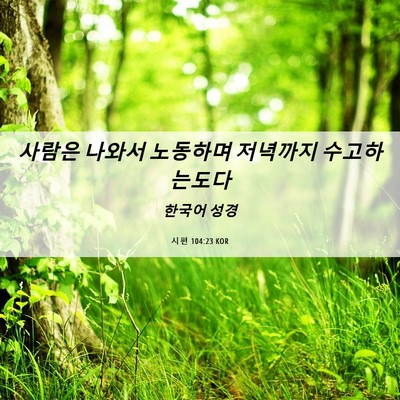Picture 06 - 시편 104:23 KOR - 사람은 나와서 노동하며 저녁까지 - Bible Verse Picture