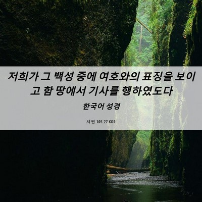 Picture 06 - 시편 105:27 KOR - 저희가 그 백성 중에 여호와의 - Bible Verse Picture