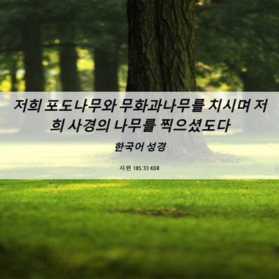 Picture 06 - 시편 105:33 KOR - 저희 포도나무와 무화과나무를 - Bible Verse Picture