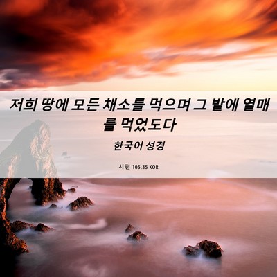 Picture 06 - 시편 105:35 KOR - 저희 땅에 모든 채소를 먹으며 그 - Bible Verse Picture