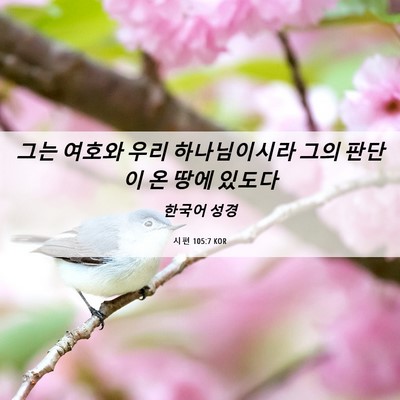 Picture 06 - 시편 105:7 KOR - 그는 여호와 우리 하나님이시라 그의 - Bible Verse Picture