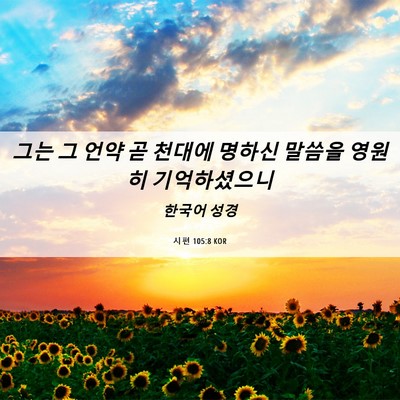 Picture 06 - 시편 105:8 KOR - 그는 그 언약 곧 천대에 명하신 - Bible Verse Picture