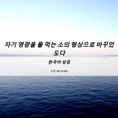 Picture 06 - 시편 106:20 KOR - 자기 영광을 풀 먹는 소의 형상으로 - Bible Verse Picture