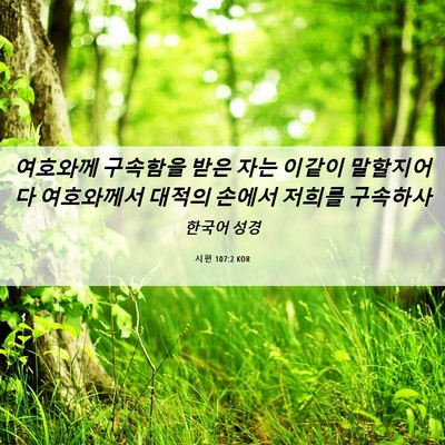 Picture 06 - 시편 107:2 KOR - 여호와께 구속함을 받은 자는 이같이 - Bible Verse Picture