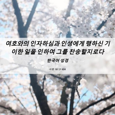 Picture 06 - 시편 107:21 KOR - 여호와의 인자하심과 인생에게 - Bible Verse Picture