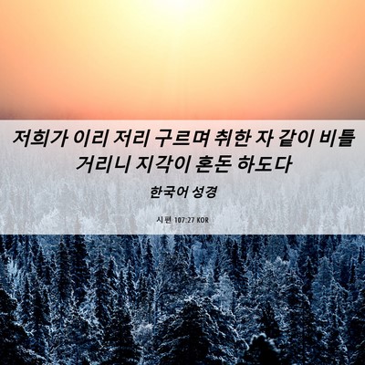 Picture 06 - 시편 107:27 KOR - 저희가 이리 저리 구르며 취한 자 - Bible Verse Picture