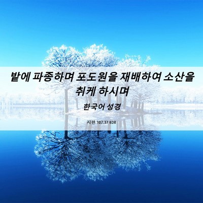 Picture 06 - 시편 107:37 KOR - 밭에 파종하며 포도원을 재배하여 - Bible Verse Picture