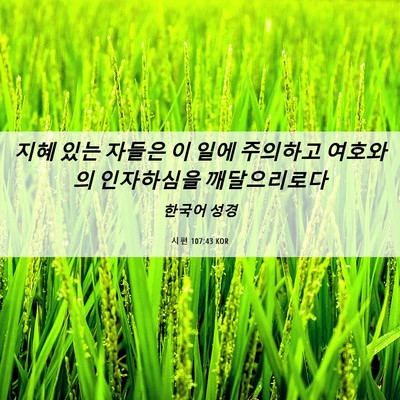 Picture 06 - 시편 107:43 KOR - 지혜 있는 자들은 이 일에 주의하고 - Bible Verse Picture