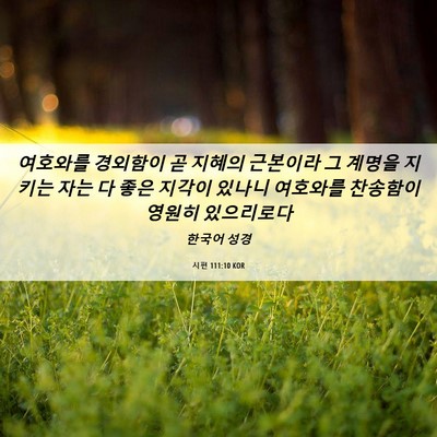 Picture 06 - 시편 111:10 KOR - 여호와를 경외함이 곧 지혜의 - Bible Verse Picture