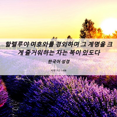 Picture 06 - 시편 112:1 KOR - 할렐루야 여호와를 경외하며 그 - Bible Verse Picture