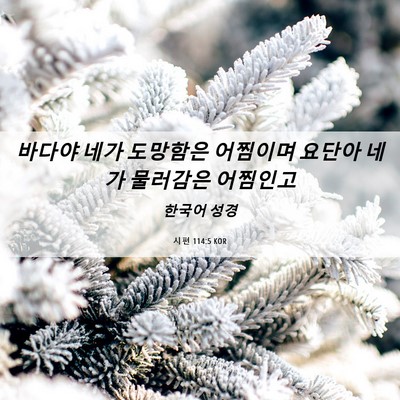 Picture 06 - 시편 114:5 KOR - 바다야 네가 도망함은 어찜이며 - Bible Verse Picture
