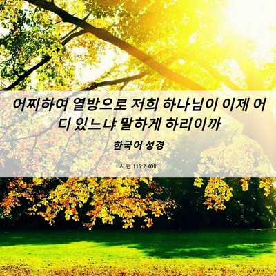 Picture 06 - 시편 115:2 KOR - 어찌하여 열방으로 저희 하나님이 - Bible Verse Picture