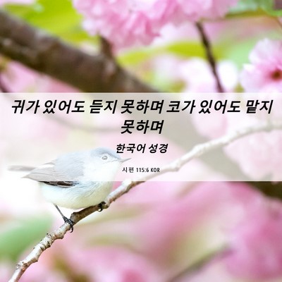 Picture 06 - 시편 115:6 KOR - 귀가 있어도 듣지 못하며 코가 - Bible Verse Picture