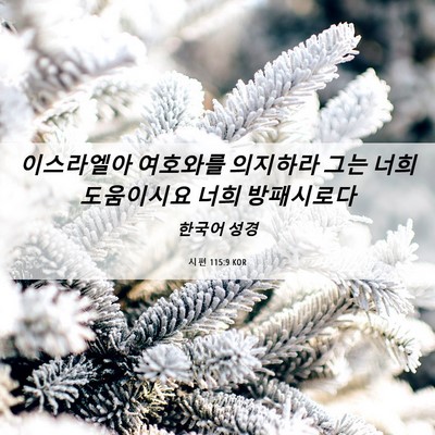 Picture 06 - 시편 115:9 KOR - 이스라엘아 여호와를 의지하라 그는 - Bible Verse Picture