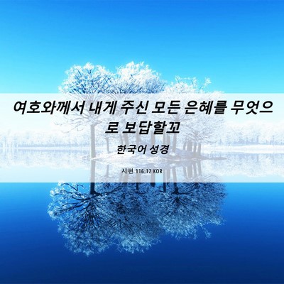 Picture 06 - 시편 116:12 KOR - 여호와께서 내게 주신 모든 은혜를 - Bible Verse Picture