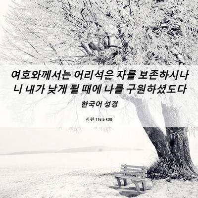 Picture 06 - 시편 116:6 KOR - 여호와께서는 어리석은 자를 - Bible Verse Picture