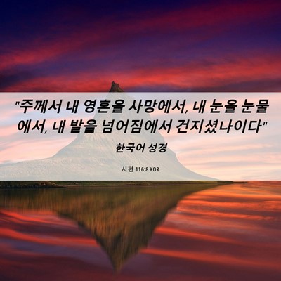 Picture 06 - 시편 116:8 KOR - 