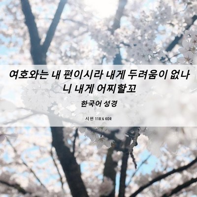 Picture 06 - 시편 118:6 KOR - 여호와는 내 편이시라 내게 두려움이 - Bible Verse Picture
