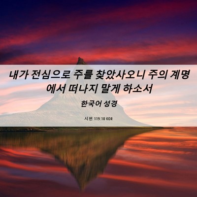 Picture 06 - 시편 119:10 KOR - 내가 전심으로 주를 찾았사오니 주의 - Bible Verse Picture