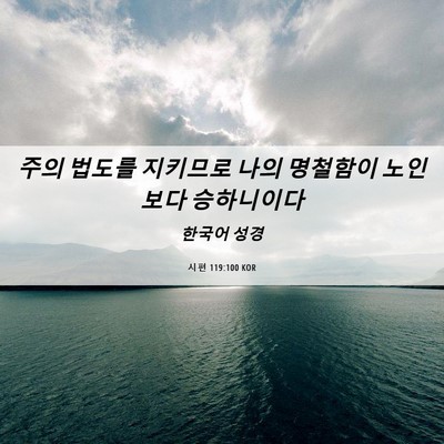 Picture 06 - 시편 119:100 KOR - 주의 법도를 지키므로 나의 명철함이 - Bible Verse Picture