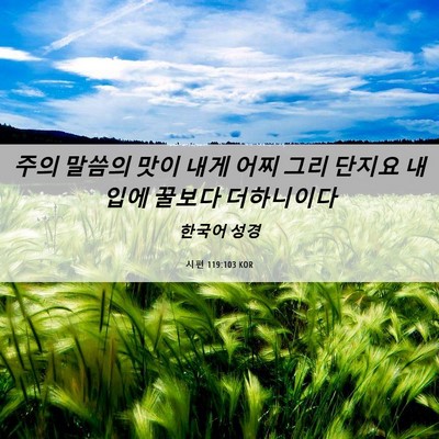 Picture 06 - 시편 119:103 KOR - 주의 말씀의 맛이 내게 어찌 그리 - Bible Verse Picture