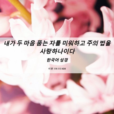Picture 06 - 시편 119:113 KOR - 내가 두 마음 품는 자를 미워하고 - Bible Verse Picture