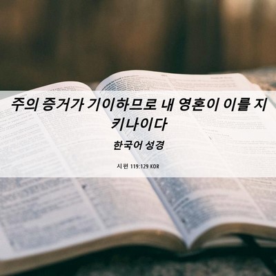 Picture 06 - 시편 119:129 KOR - 주의 증거가 기이하므로 내 영혼이 - Bible Verse Picture