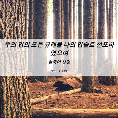 Picture 06 - 시편 119:13 KOR - 주의 입의 모든 규례를 나의 입술로 - Bible Verse Picture