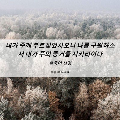 Picture 06 - 시편 119:146 KOR - 내가 주께 부르짖었사오니 나를 - Bible Verse Picture