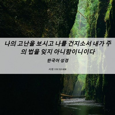 Picture 06 - 시편 119:153 KOR - 나의 고난을 보시고 나를 건지소서 - Bible Verse Picture