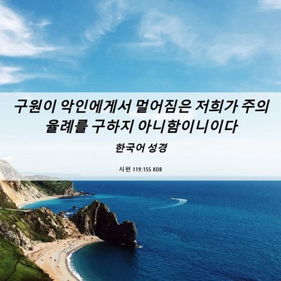 Picture 06 - 시편 119:155 KOR - 구원이 악인에게서 멀어짐은 저희가 - Bible Verse Picture