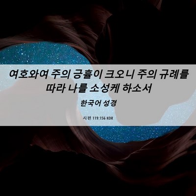 Picture 06 - 시편 119:156 KOR - 여호와여 주의 긍휼이 크오니 주의 - Bible Verse Picture