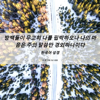 Picture 06 - 시편 119:161 KOR - 방백들이 무고히 나를 핍박하오나 - Bible Verse Picture