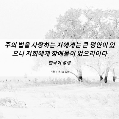 Picture 06 - 시편 119:165 KOR - 주의 법을 사랑하는 자에게는 큰 - Bible Verse Picture