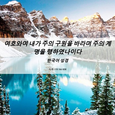Picture 06 - 시편 119:166 KOR - 여호와여 내가 주의 구원을 바라며 - Bible Verse Picture