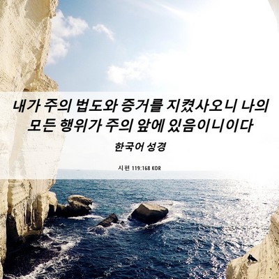 Picture 06 - 시편 119:168 KOR - 내가 주의 법도와 증거를 지켰사오니 - Bible Verse Picture