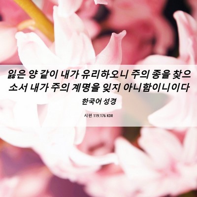Picture 06 - 시편 119:176 KOR - 잃은 양 같이 내가 유리하오니 주의 - Bible Verse Picture