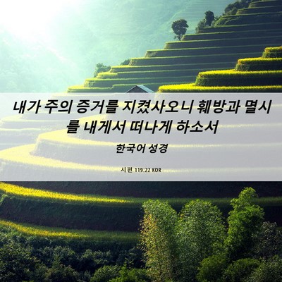 Picture 06 - 시편 119:22 KOR - 내가 주의 증거를 지켰사오니 훼방과 - Bible Verse Picture