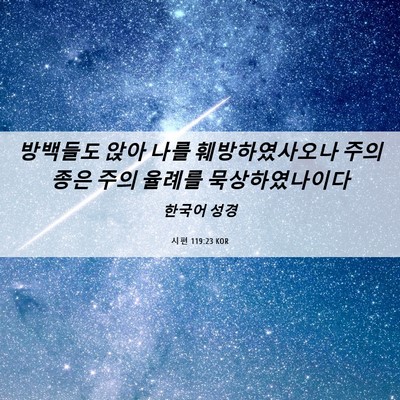 Picture 06 - 시편 119:23 KOR - 방백들도 앉아 나를 훼방하였사오나 - Bible Verse Picture