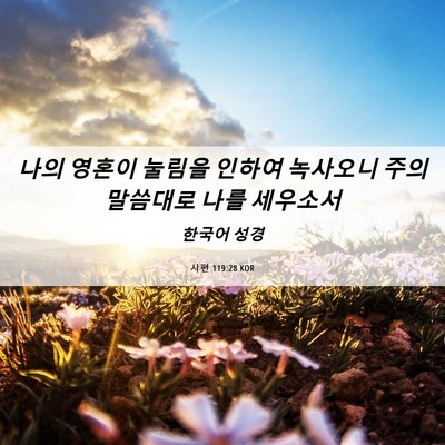 Picture 06 - 시편 119:28 KOR - 나의 영혼이 눌림을 인하여 녹사오니 - Bible Verse Picture