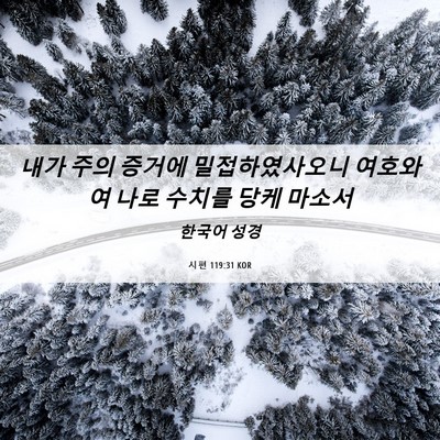 Picture 06 - 시편 119:31 KOR - 내가 주의 증거에 밀접하였사오니 - Bible Verse Picture