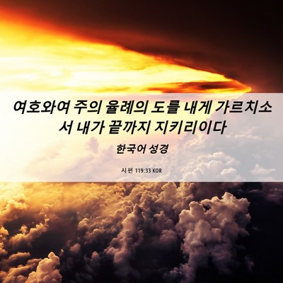 Picture 06 - 시편 119:33 KOR - 여호와여 주의 율례의 도를 내게 - Bible Verse Picture