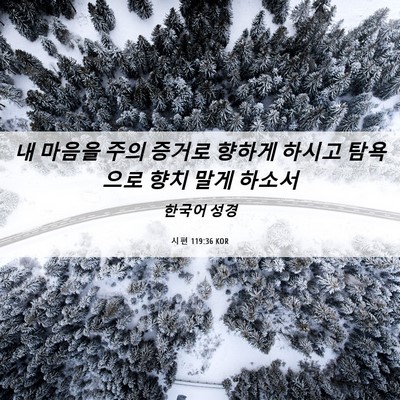Picture 06 - 시편 119:36 KOR - 내 마음을 주의 증거로 향하게 - Bible Verse Picture